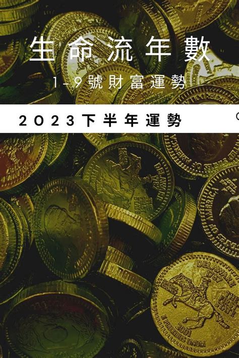 2023生命靈數流年9